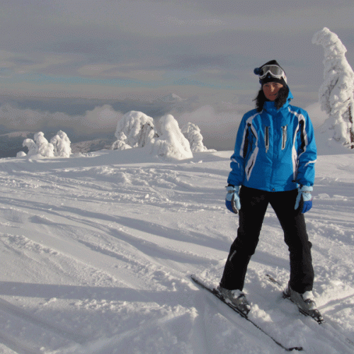 c_500_500_16777215_00_images_gallery_dragobrat_dragobrat_poltava6.gif