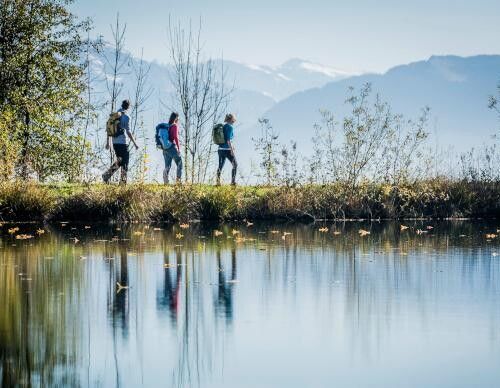 wald_gibswil_bachtelweiher_wandern_wasser_klein_2_660x388px_27d_p72943