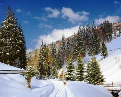 Детальніше: Зимова казка Карпат! 19.02.23 — 25.02.23