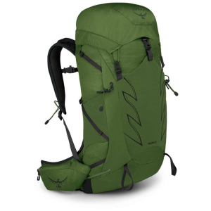 Рюкзак Osprey Talon 33 (00014218) зелений