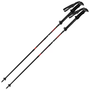 Трекінгові палиці Gabel FR-3 EF (00025577)
